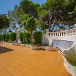 Vista Azul Alzira